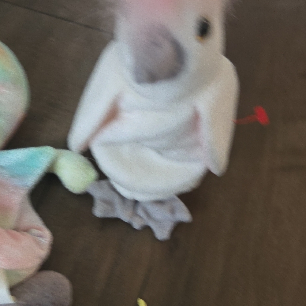 Beanie Babies Collection - Picture 8 of 9
